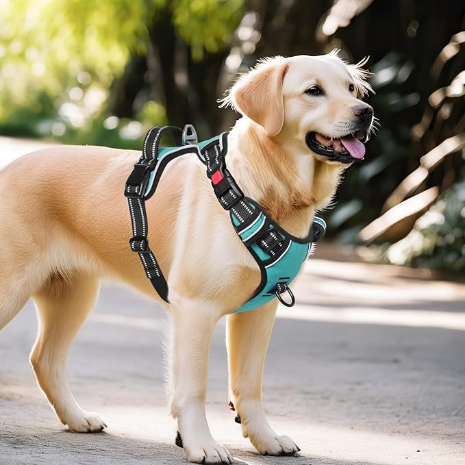 Timos Dog Harness,NO Need Go Over Dogs Head 3 Snap Buckles Pet Harness with 2 Leash Clips,Adjustable Soft Padded No-Pull,Reflective No-ChokeOxford Vest for Small Medium Large Dogs,X-Large (Pack of 1)-Mewly Pet