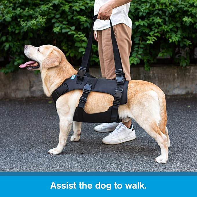 Dog Lift Harness, Rehabilitation Lifts Vest for Dogs, Support & Recovery Sling, Adjustable Breathable Lifting Straps for Old, Joint Injuries, Arthritis, Paralysis Dogs Walk (2XL, Black)-Mewly Pet