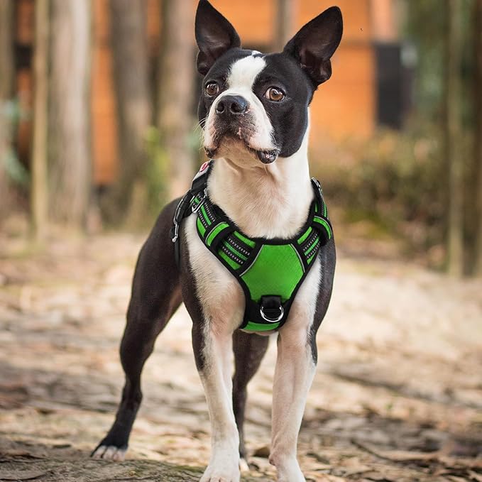 rabbitgoo Dog Harness Small Sized, No Pull Dog Vest with 3 Buckles, Adjustable Soft Padded Pet Harness with Easy Control Handle and Reflective Strips, Green, S-Mewly Pet