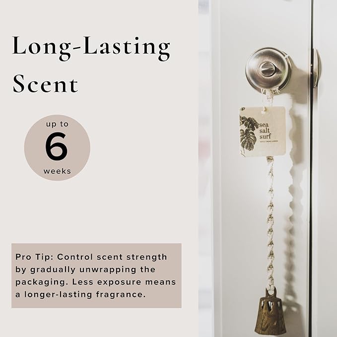 Sea Salt Surf Car Air Freshener, 4 Pack-Mewly Pet