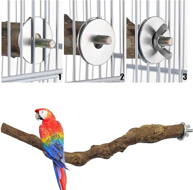 Allazone 4-Piece Bird Perch - Natural Grapevine Stick Swing Chewing Toys for Parrot Cages, Cockatiels, Parakeets, Finches-Mewly Pet