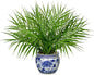 Hollyone Large Artificial Potted Plants Fake Palm Plants 16" Faux Green Plant Plastic Tropical Palm Tree in Blue and White Porcelain Ceramic Pots for Home Room Office House Indoor Decoration