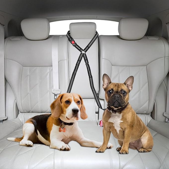 BWOGUE Double Dog Cat Seat Belts, Car Headrest Restraint Adjustable Travel Leash,Safety Elastic Leads Splitter Connect Vehicle Seatbelt Harness for 2 Dogs-Mewly Pet