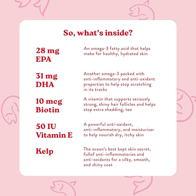 Bocce's Bakery Skin & Coat Supplement for Dogs, Daily Chews Made in The USA with Vitamin E & Essential Fatty Acids, Supports Healthy Skin & Coat, Salmon, 60 ct, Red (DG-SP-SKIN60)-Mewly Pet