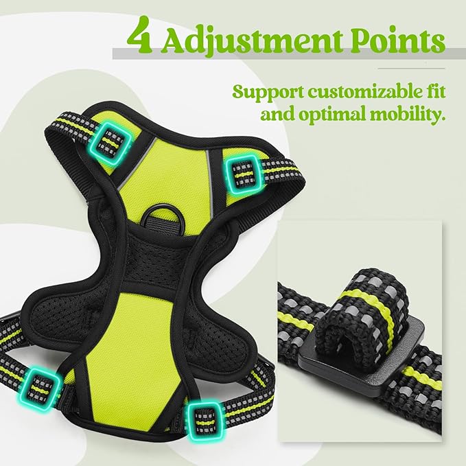 rabbitgoo Dog Harness No Pull with 2 Leash Clips, Adjustable Soft Padded, Reflective Oxford No Choke Pet Vest with Easy Control Handle for Puppy, Green, XS-Mewly Pet