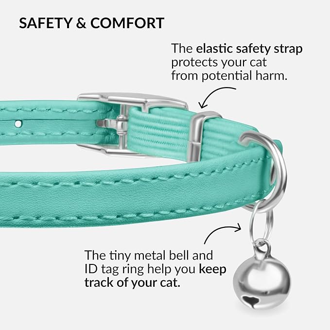 CollarDirect Leather Cat Collar with Bell - Kitten Collar, Small and Big Cat Collar for Boy Cats, Girl Cats with Safety Elastic Strap (Neck Fit 8"-11", Mint Green)-Mewly Pet