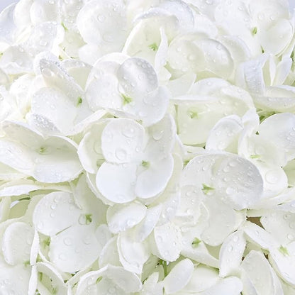 4 Pcs Real Touch Hydrangea Artificial Flowers, 21" White Full Faux Hydrangea Flowers Latex Fake Flowers for Home Decor Party Floral Arrangements Wedding Bouquets Centerpieces Outdoor Decor