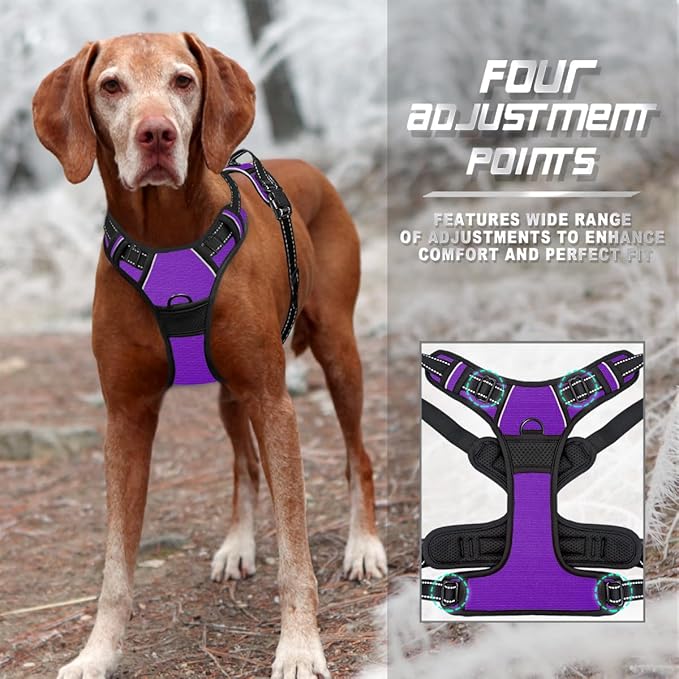 BARKBAY No Pull Dog Harness Front Clip Heavy Duty Reflective Easy Control Handle for Large Dog Walking(Purple,L)-Mewly Pet