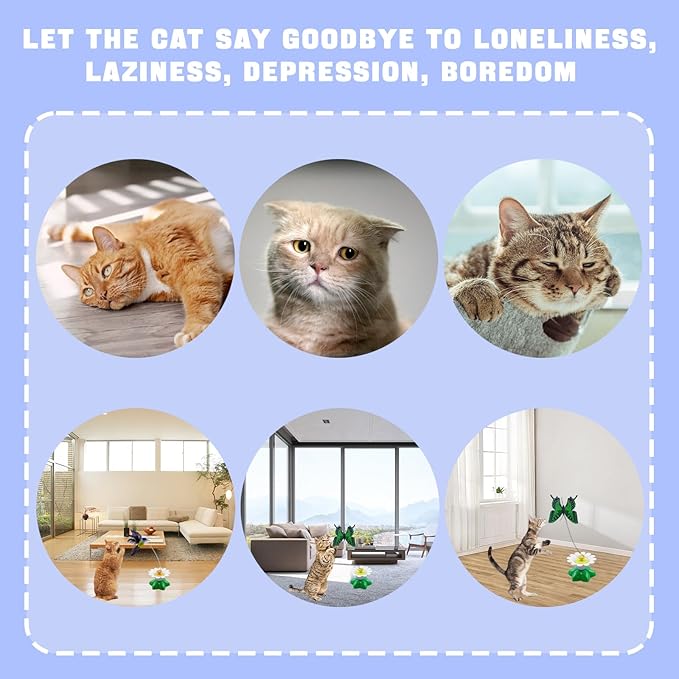 Yisquar Electric Bird & Butterfly Teasing Cat Toy 2PCS Interactive Bird Toy for Cats Interactive Cat Toys Automatic Electric Butterfly 360°Rotating Kitten Toys Fun Flying Birds Cats Play Chase-Mewly Pet