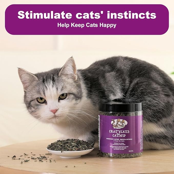 Organic Natural Catnip Cattle Grass Mint Taste Funny Cat Toy New Cat Toy Interactive Cat Toys Pet Supplies-Mewly Pet