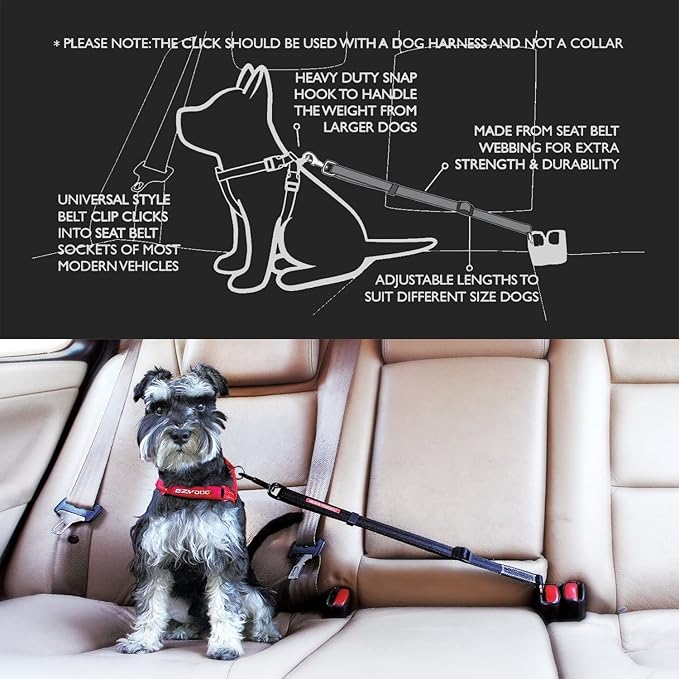 EzyDog CLICK – Dog Seat Belt for Car, Dog Harness Adjustable Seatbelt Attachment – Heavy Duty Nylon Seat Belt Webbing (17.5in - 26in)-Mewly Pet