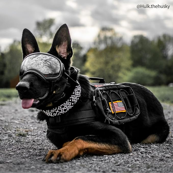 OneTigris Dog Backpack for Medium & Large Dogs, Nylon Backpack for Dogs Tactical Pet Backpack with Side Pockets for Hiking Walking Training Running (Black, Medium)-Mewly Pet