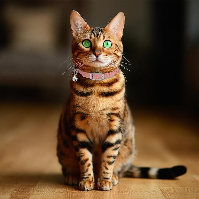 OOPSDOGGY Rolled Leather Cat Collar with Bell, Reflective Kitten Collars with Buckle Include Safety Elastic Strap - Adjustable Small Pet Collars for Boy Girl Cats (Peach)-Mewly Pet