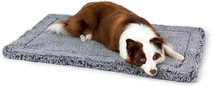 Stoutwool Indestructible Dog Bed - Fluffy Chew Proof Dog Crate Pad - Tough Kennel Pad for Aggressive Chewers - Washable, Ideal for Large Breeds & Fits 36-Inch Crate - 35"x22", Charcoal-Mewly Pet