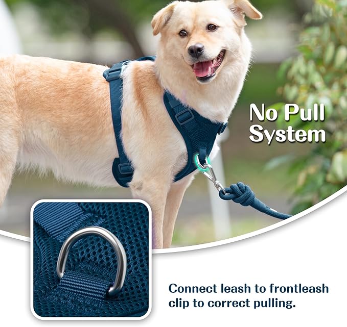No Pull Dog Harness for Small Medium Large Dogs - Adjustable Two-Layer Mesh Dog Vest with Dual Clip, Escape Proof, Quick Release, Lightweight Breathable Mesh for Walking Hiking (Prussian Blue,S)-Mewly Pet