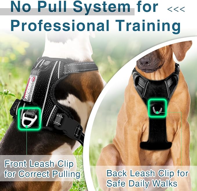 BARKBAY Dog Harness No Pull with ID Tag Pocket - Heavy Duty, Reflective, Easy Control for Large Dogs(Black,M)-Mewly Pet