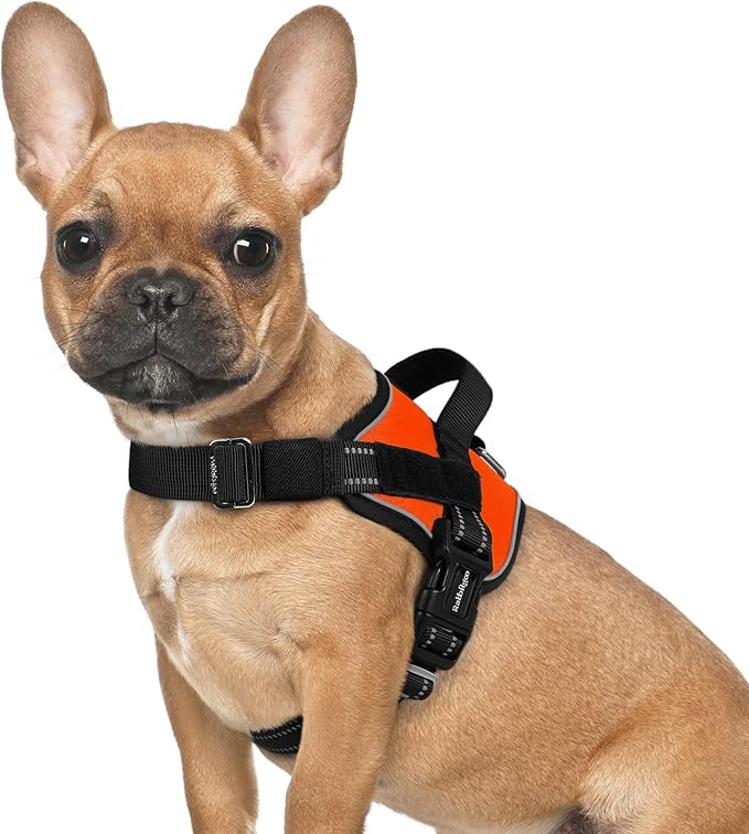 rabbitgoo Dog Harness for Small, Easy On Pet Vest with One Buckle, No Pull Adjustable Service Harness with D-Ring & Handle, Reflective for Safety Walking, Training, Orange, S-Mewly Pet