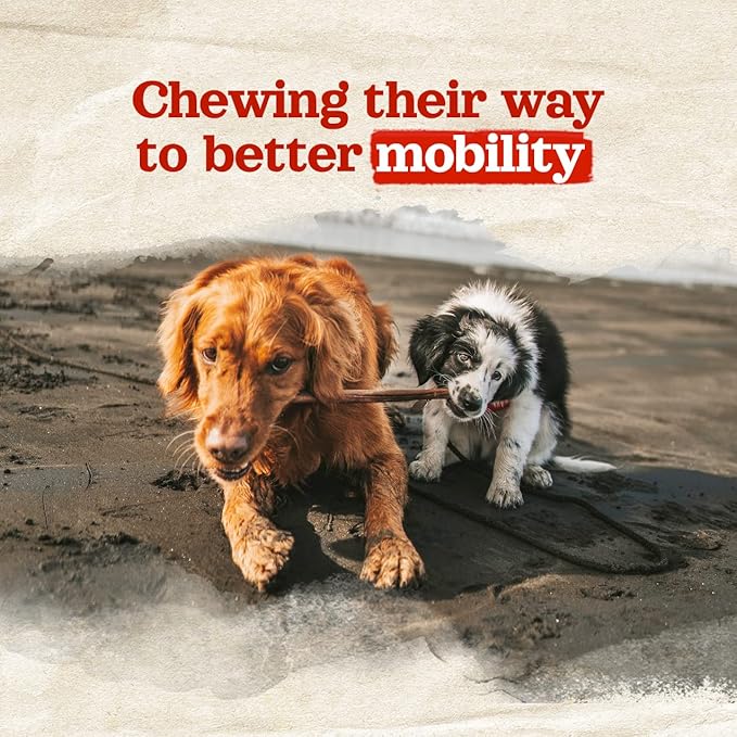 Natural Farm Collagen Dog Chews (12 Inch, 5 Pack), Odor-Free Long Lasting Bully Sticks & Rawhide Alternative Dog Treats, 95% Collagen Low Fat, High Protein – Medium & Large Dogs-Mewly Pet