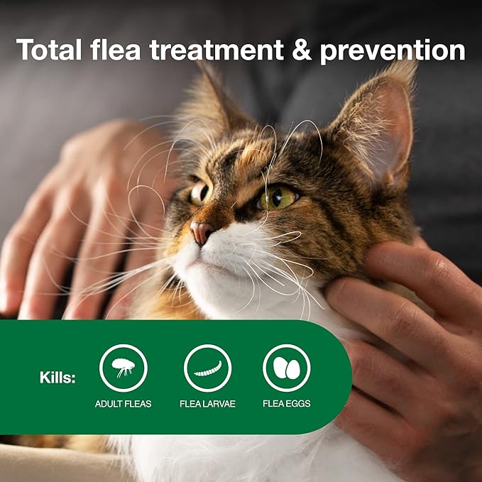 Advantage II Large Cat Vet-Recommended Flea Treatment & Prevention | Cats Over 9 lbs. | 4-Month Supply-Mewly Pet