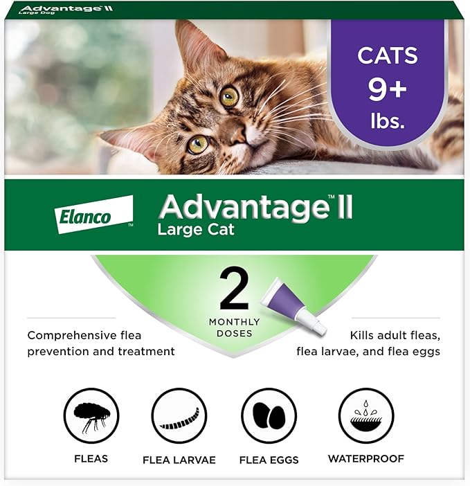 Advantage II Large Cat Vet-Recommended Flea Treatment & Prevention | Cats Over 9 lbs. | 2-Month Supply-Mewly Pet
