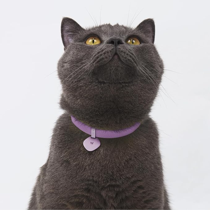 Safety Cat Collar and ID Tag Set - Elastic Quick Release, Non Breakaway Cat Collar Personalized Anodized Aluminum Engraved Pet Name Tag, Lightweight for Kitten and Small Large Cats-Mewly Pet