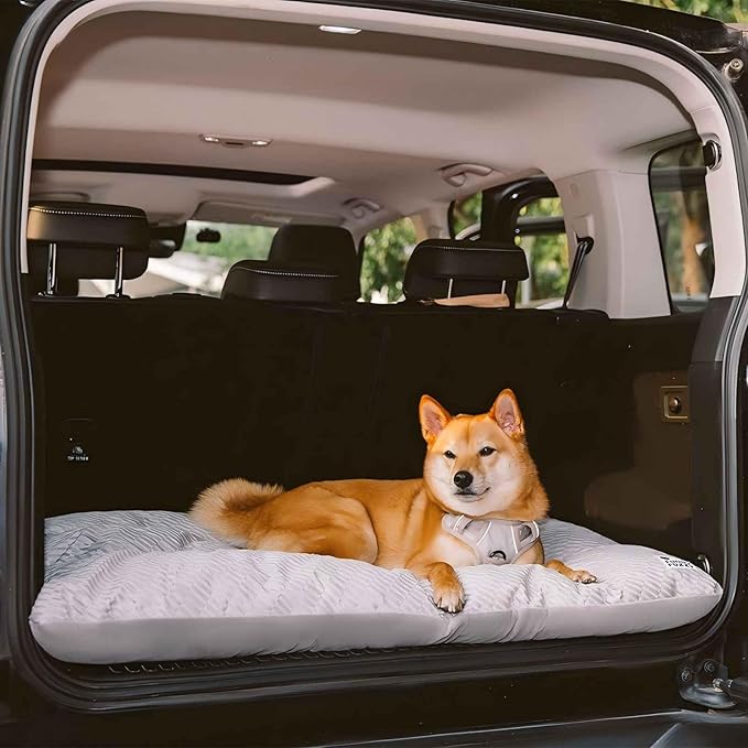 FUNNY FUZZY Washable Dog Bed,Reversible Plush Dog Crate Mat, Soft Fluffy Kennel Pad,Pet Sleeping Mattress for Large,Jumbo,Medium Sized Dogs Breeds,Indoor Cats,41.7" × 28.3", Light Grey-Mewly Pet