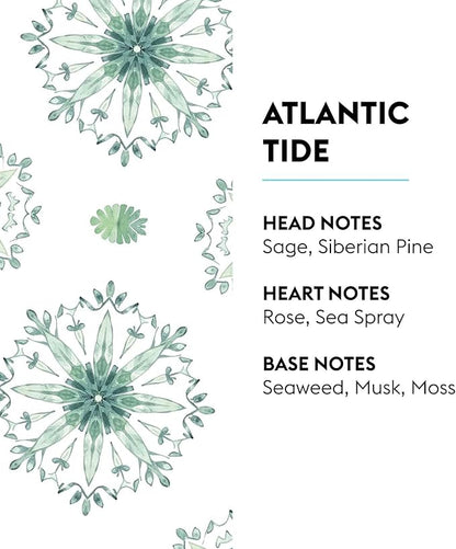 Atlantic Tide | Lampe Berger Fragrance Refill by Maison Berger | for Home Fragrance Oil Diffuser | Purifying and perfuming Your Home | 16.9 Fluid Ounces - 500 milliliters | Made in France