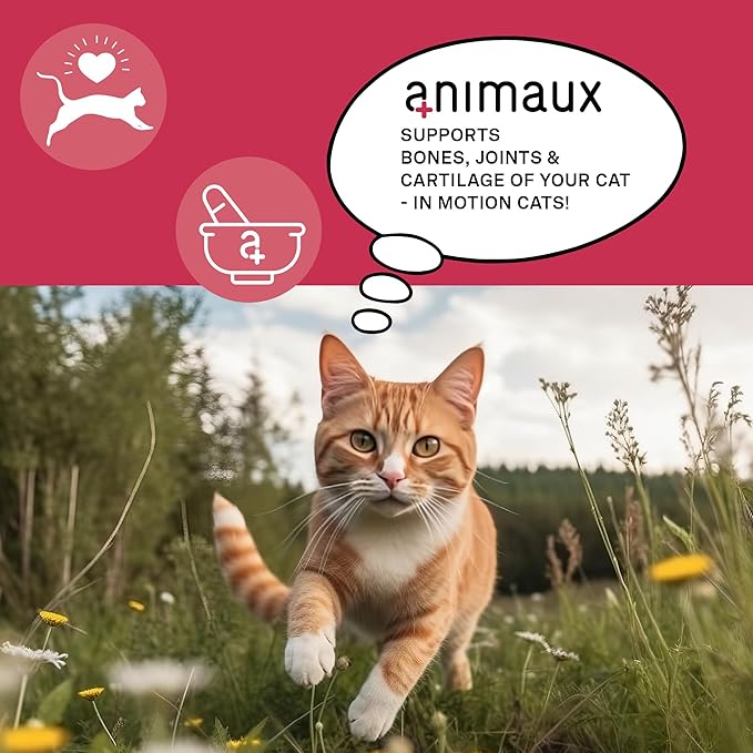 animaux - in Motion Cats, Green-lipped Mussel, Devil's Claw, Rose Hip & Ginkgo, Support for Bones, Joints, Cartilage, tendons, with Hyaluron, Collagen, 90 chewable Tablets, 90 Days Supply-Mewly Pet