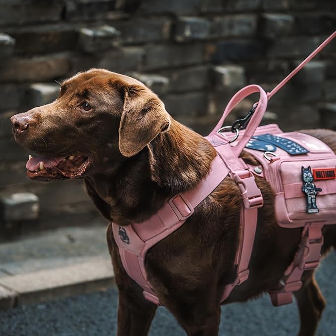 OneTigris Service Dog Vest Harness, Service Dog Cape Guardian Dog Backpack Harness with Pouches Dog Saddle Bag for Small Medium and Large Dogs (Pink, Large)-Mewly Pet
