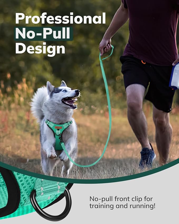 MIDOG No-Pull Dog Harness | Adjustable & Reflective Pet Harness Leash Set for Small Medium Large Dogs Walking, Training| No Choke, Front Clip, Soft Padded Vest with Easy Control Handle - Green, L-Mewly Pet