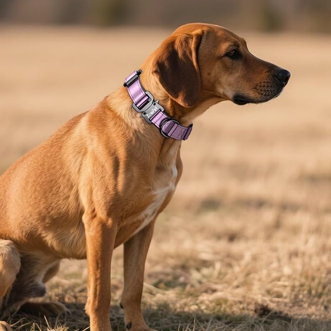 AirTag Dog Collar - Leather Dog Collar with Airtag Holder | IP68 Waterproof AirTag Holder with Metal Buckle, Comfortable GPS Dog Collars Tracker for Medium Large Dogs (Rose Gold, L)-Mewly Pet