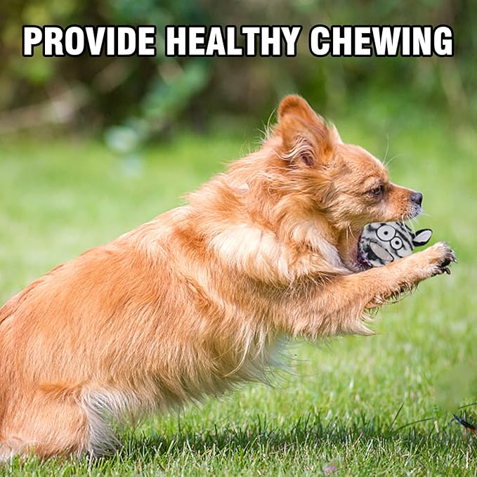 DKING 3Pack Squeaky Dog Balls,2 in1 Funny Puppy Ball Toys,Birthday Dog Toy for Small Medium Dogs (Animal Ball)-Mewly Pet