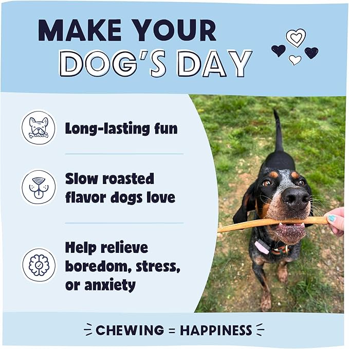 Pawstruck All-Natural 9" Bully Sticks for Dogs - Long Lasting, Rawhide-Free, Low Odor & Grain-Free Dental Chew Treat - Healthy Single Ingredient, 100% Real Beef - 1 lb Bag-Mewly Pet