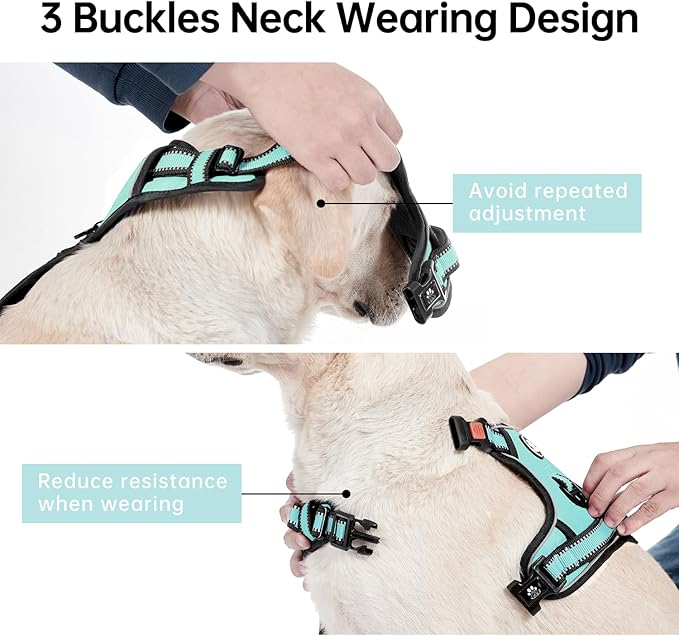 IVY&LANE No Pull Dog Harness with Leash Set, Reflective No Choke Pet Vest,Adjustable Oxford Dog Vest Harness with Easy Control Handle for Medium Dogs (Turquoise,M)-Mewly Pet