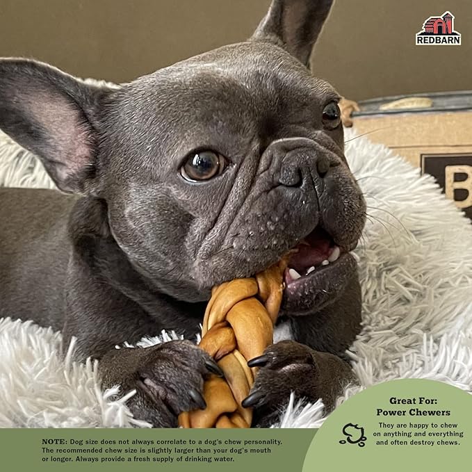 Redbarn Pet Products Recbarn Natural 12" Beef Collagen Braids - Case of 20 Sticks - Long Lasting Low-Odor Alternative to Rawhide & Bully Sticks -Single Ingredient Chew for Medium Large Dogs-Mewly Pet