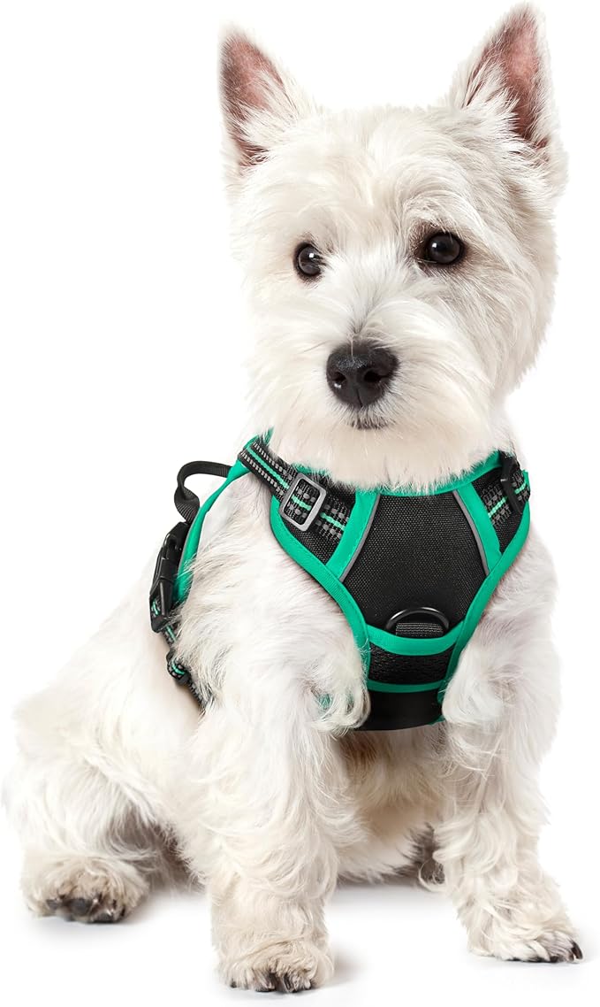 rabbitgoo Dog Harness No Pull with 2 Leash Clips, Adjustable Soft Padded, Reflective Oxford No Choke Pet Vest with Easy Control Handle for Puppy, Black & Turquoise, XS-Mewly Pet