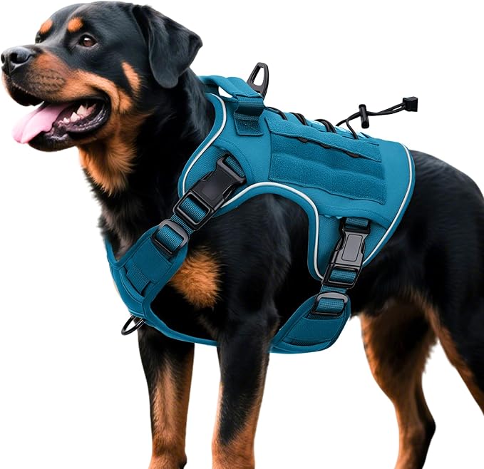 Heavy-Duty Tactical Dog Harness for Large Dogs, No Pull Adjustable Reflective Pet Vest with Molle System, K9 Military-Grade Control for Service Training, Outdoor & 10+ Breeds, Blue, XX-Large-Mewly Pet