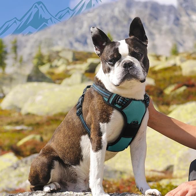 Eagloo Dog Harness Medium Sized Dog, No Pull Service Vest with Reflective Strips and Control Handle, Adjustable and Comfortable for Easy Walking, No Choke Pet Harness with 2 Metal Rings, Dark Green, M-Mewly Pet