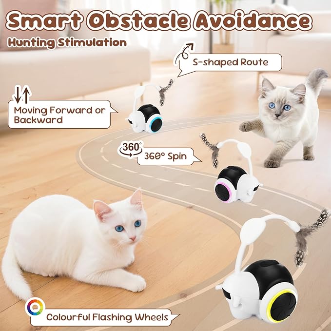 SlowTon Cat Interactive Toy for Indoor Cats - Remote Control Automatic Smart Moving Cats Toys with 2 Modes, Rechargeable Kitten Feather Toys for All Breeds of Bored Cat(Black)-Mewly Pet