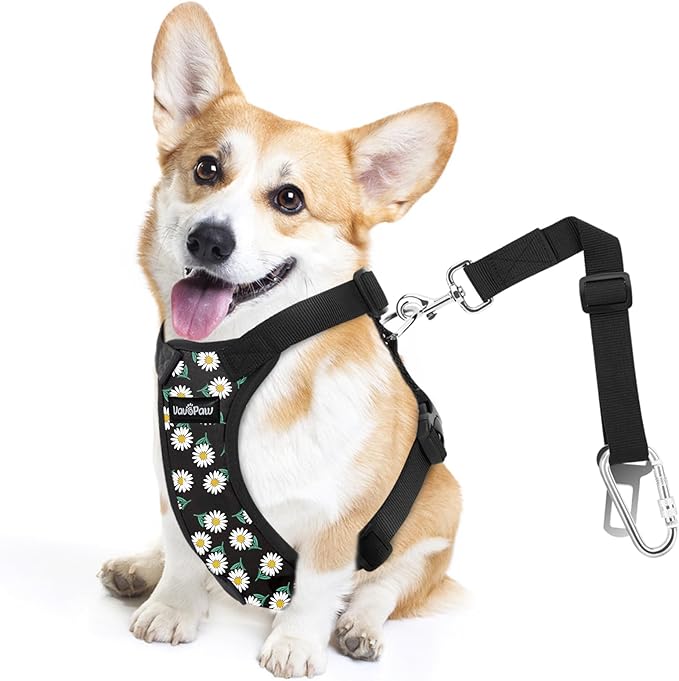 Dog Seat Belt, Safety Vest Dog Car Harness with Adjustable Buckle Dog Seat Belt for Vehicle Nylon Pet Safety Seat Belts Heavy Duty(S, Black Daisy)-Mewly Pet
