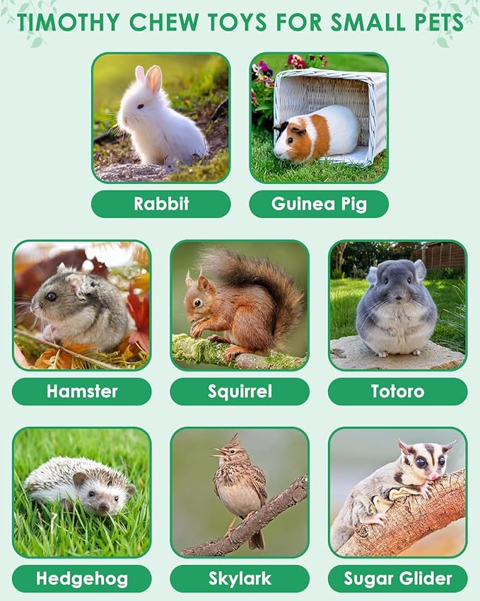 ERKOON 53 Bunny Chew Toys for Rabbits Teeth, Natural Rabbit Toys Apple Wood Sticks, Carrot, Timothy Grass for Small Pets, Hamster, Chinchilla, Guinea Pig Dental Care and Treat Teething(53)-Mewly Pet