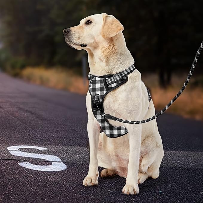 IVY&LANE No Pull Dog Harness with Leash Set, Reflective No Choke Pet Vest,Adjustable Oxford Dog Vest Harness with Easy Control Handle for Medium Lagre Dogs (Checkered Black,M)-Mewly Pet