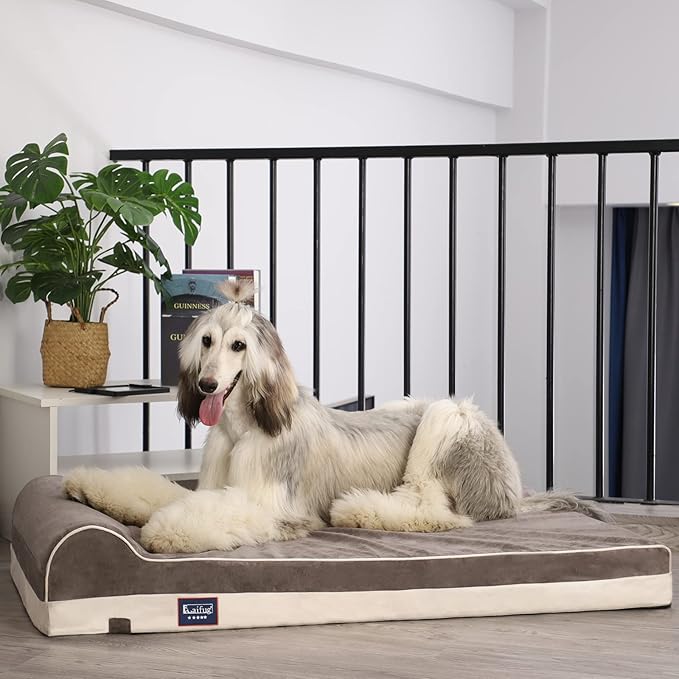 Laifug Orthopedic Memory Foam Extra Large Dog Bed with Pillow and Durable Water Proof Liner & Removable Washable Cover & Smart Design (Large (46"x28"x8"), Grey)-Mewly Pet
