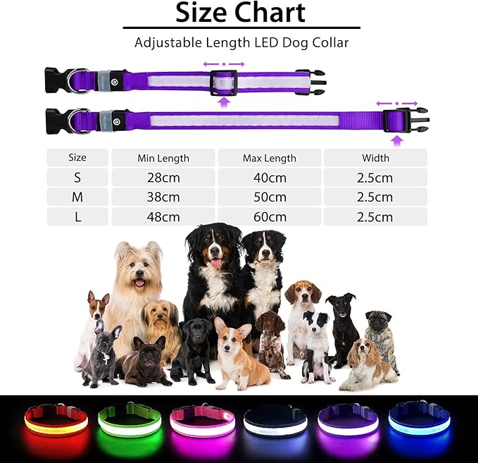 PcEoTllar Light up Dog Collar for Night Walking - LED Dog Collar Light Rechargeable Color Changing, Glow in The Dark Dog Collars Waterproof Glowing Dog Collars for Large Small Medium Dogs, Purple S-Mewly Pet
