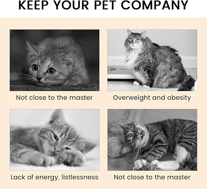 Cat Tunnel with Play Ball, Interactive Peek-a-Boo Cat Toys Cat Tube Toy, Colorful TS-Tunnel-Mewly Pet