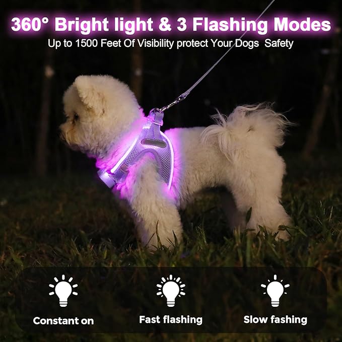 Light Up Dog Harness,Rechargeable LED Dog Harness for Small Medium Large Dogs,Reflective Lighted Safety Vest for Night Walking & Camping,Lightweight & Adjustable,Lavender Purple,S-Mewly Pet