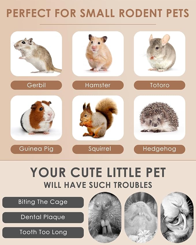 Bissap 25 PCS Guinea Pigs Chew Sticks, Natural Papaya Stems Bunny Chews Treats for Hamsters Chinchillas Small Animals Organic Molar Chewing Snack-Mewly Pet