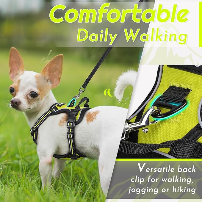 Eagloo Small Dog Harness No Pull, Service Vest with Reflective Strips and Control Handle, Adjustable and Comfortable for Walking, No Choke Pet Harness with 2 Metal Rings, Green, XS-Mewly Pet
