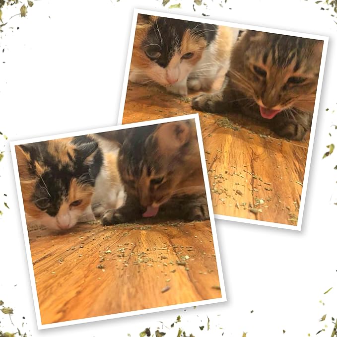 Meowijuana® Kalico Kush - Valerian Root and Catnip Blend - Large Bottle-Mewly Pet