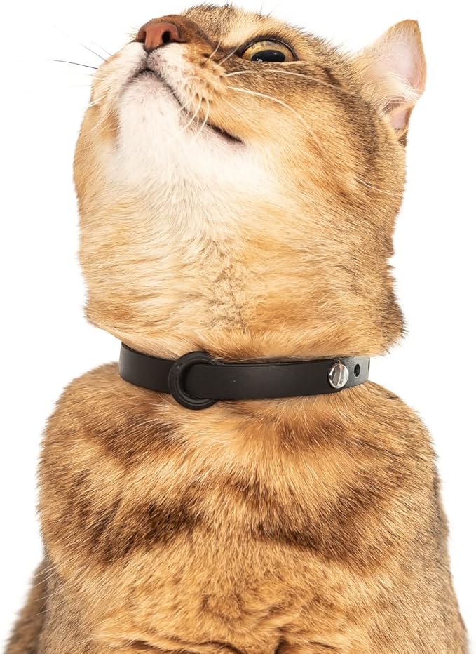 5 Pack Breakaway Cat Collar - Soft, Comfortable, and Lightweight Safety Buckle Collar with ID Tag Ring for Outdoor Cats and Kittens by Nuvuq (6 ⅞" to 10 ¼", Red, Orange, Pink, Blue and Black)-Mewly Pet